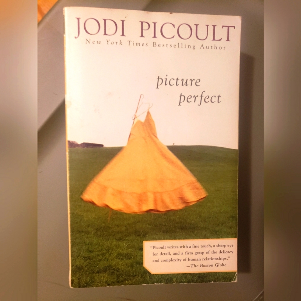🟣 ‐ bogo - Picture Perfect by Jodi Picoult
